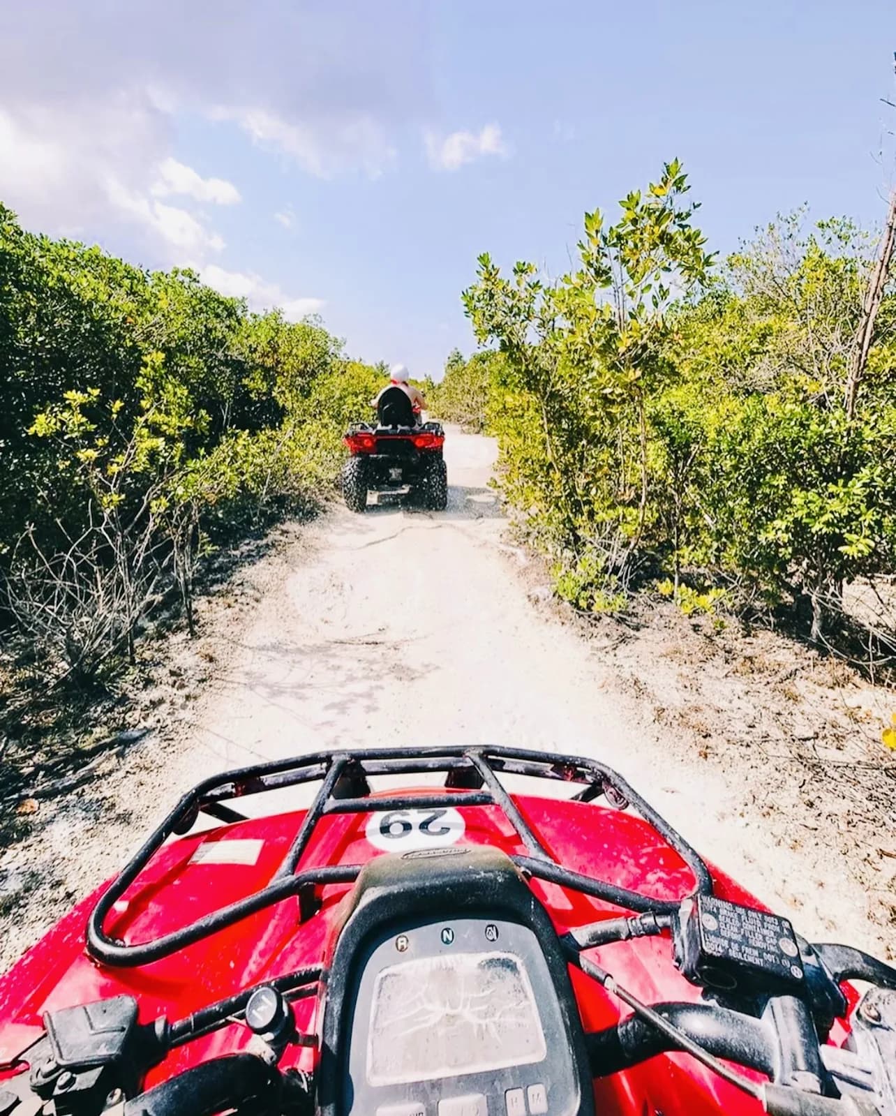 Aventure Quad Jungle & Récifs de Cozumel - Photo 5