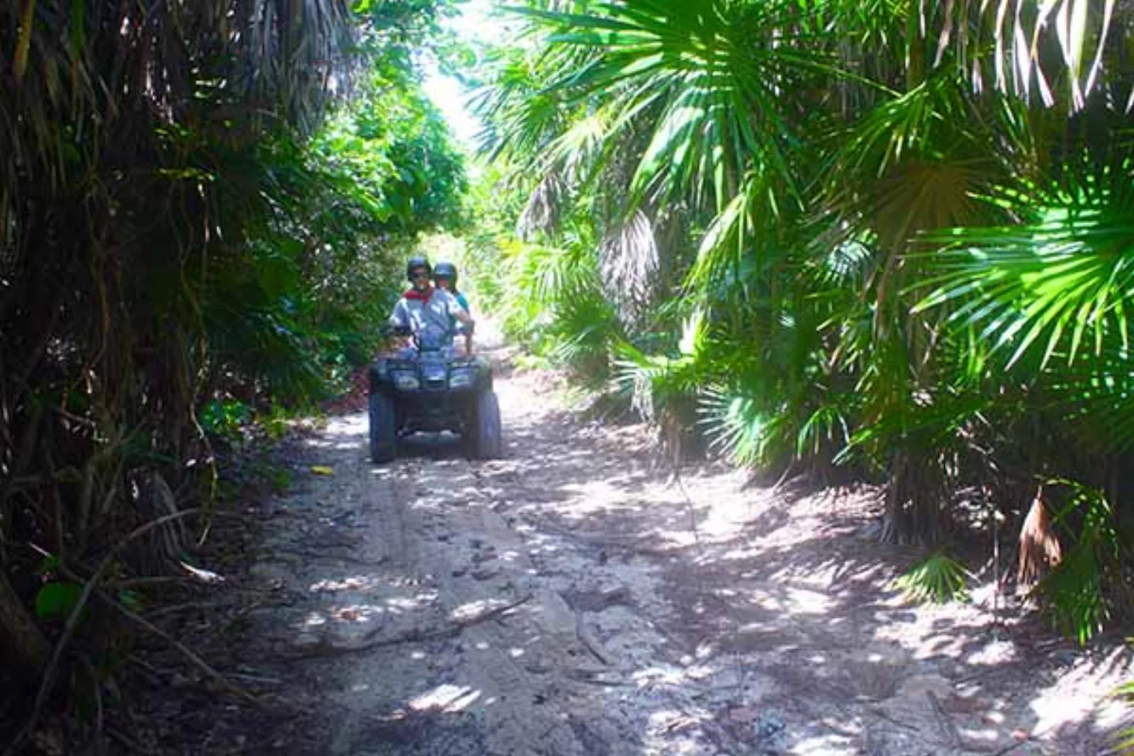 Cozumel ATV Jungle & Reef Adventure - cozumel atv jungle tour adventure in Cozumel