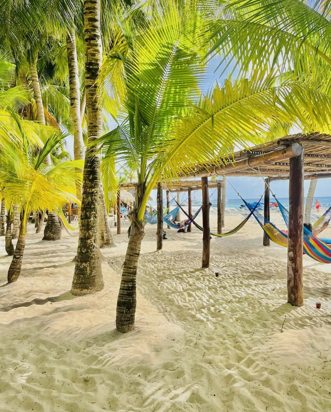 Cozumel East Coast Bar Hop Tour - hammocks palm beach in Cozumel