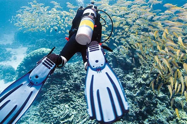 Private Beginner Boat Dive Cozumel - introductory to scuba diving cozumel in Cozumel