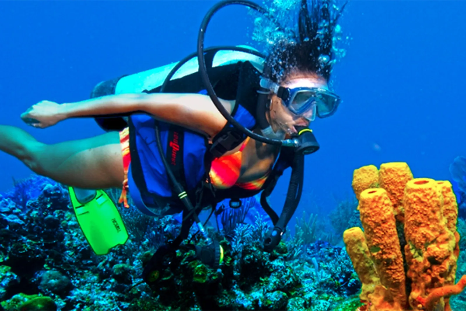 Private Beginner Boat Dive Cozumel - learn to dive in cozumel discover scuba in Cozumel