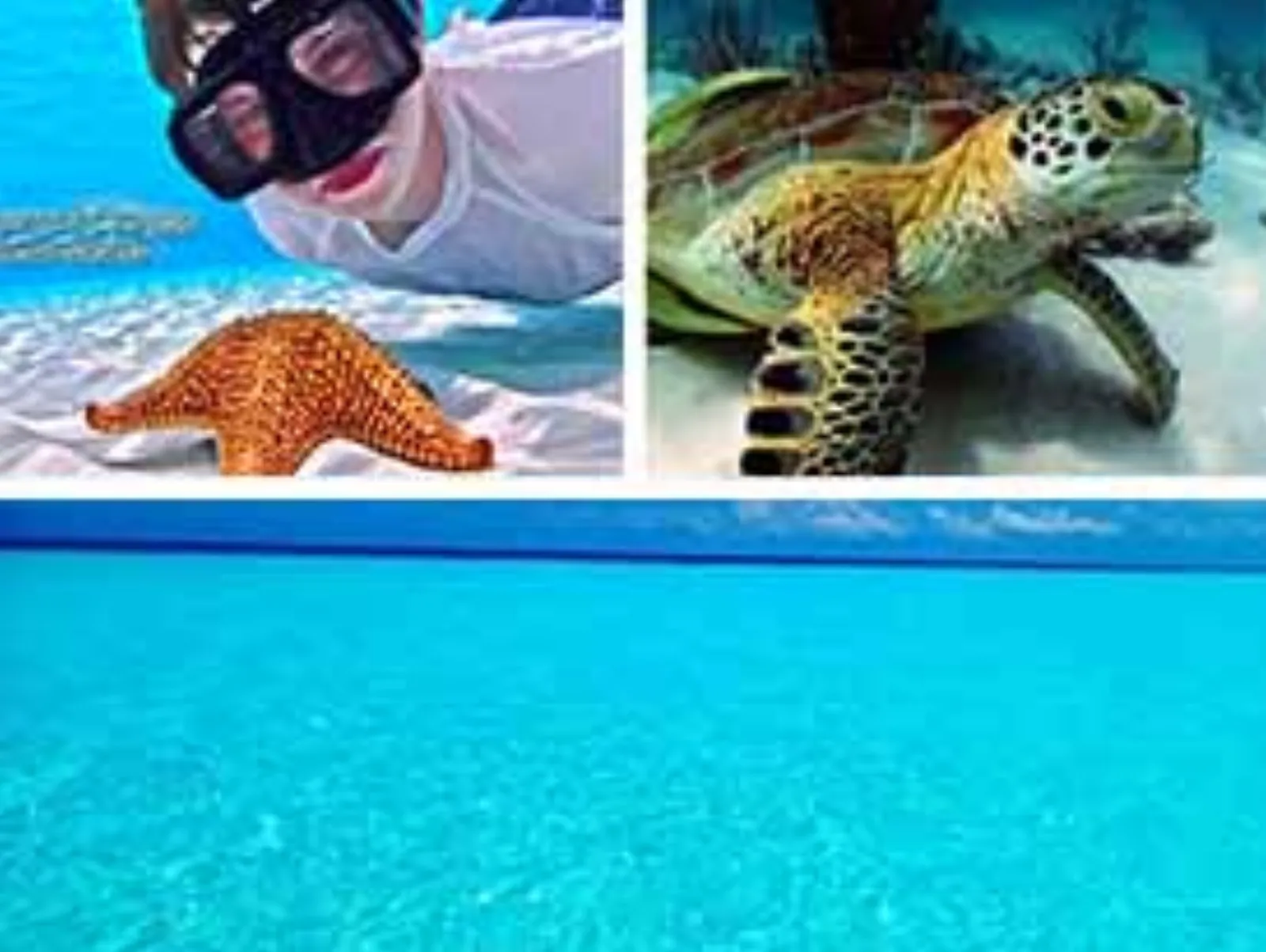 Private Luxury Speed Boat Charter Cozumel - Photo 5