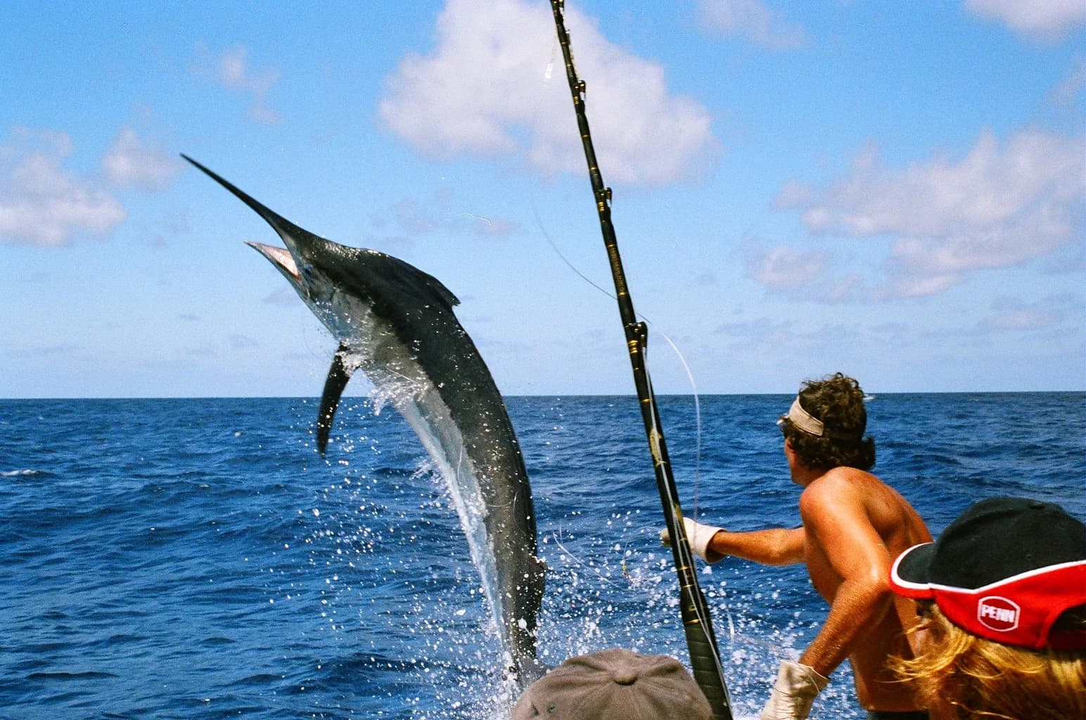 Cozumel Deep Sea Fishing Charter Experience - fishing marlin in cozumel in Cozumel