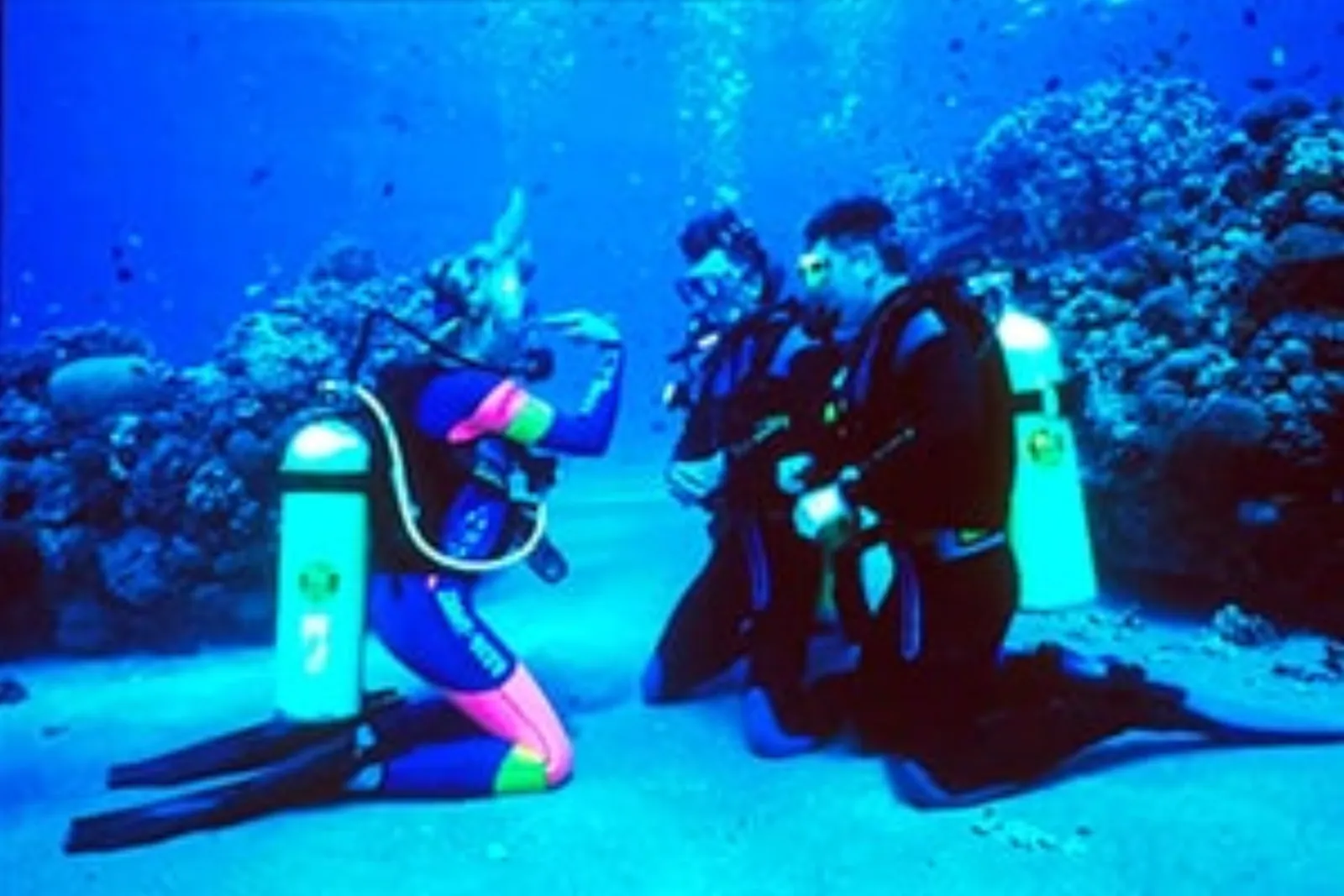 Discover Scuba Diving in Cozumel - Photo 2