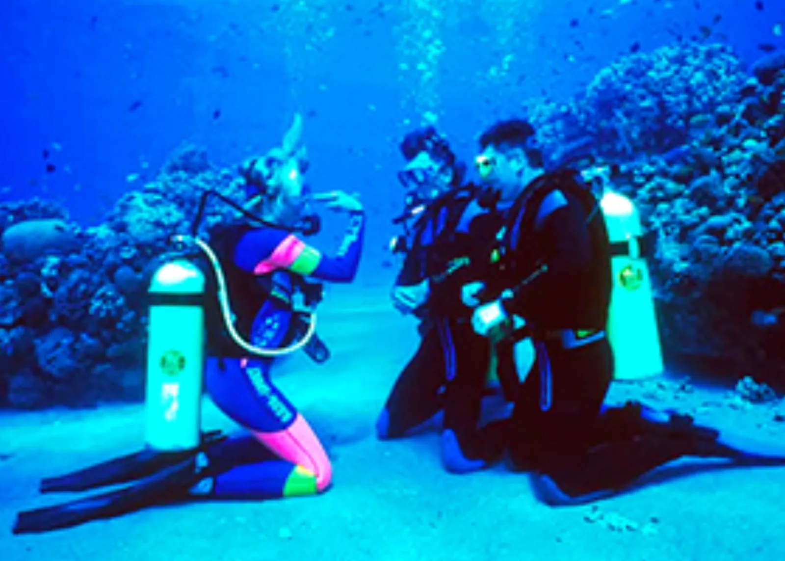 Discover Scuba Diving in Cozumel - Photo 7