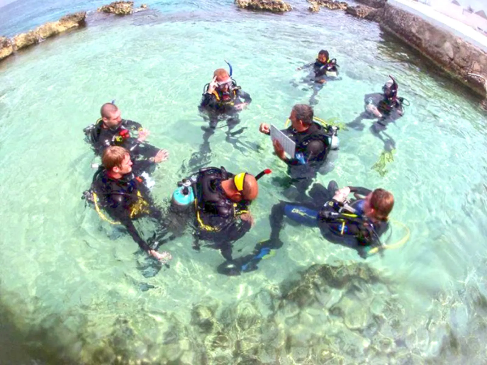 Discover Scuba Diving in Cozumel - Photo 3