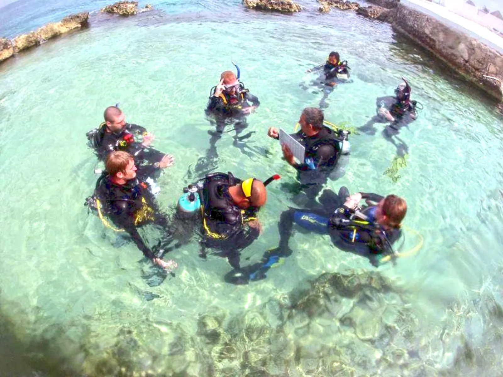 Discover Scuba Diving in Cozumel - learn to dive in cozumel in Cozumel