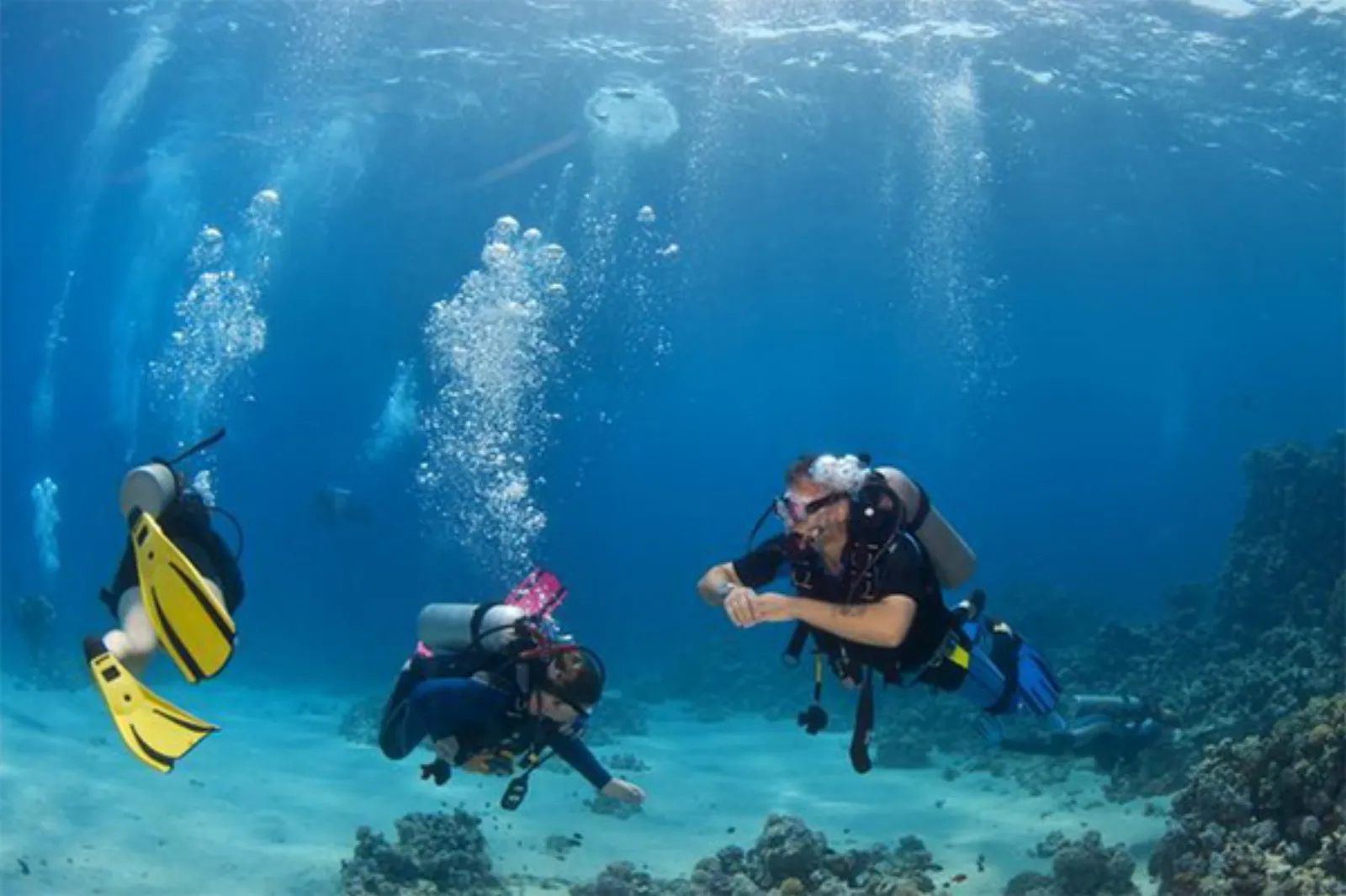 Discover Scuba Diving in Cozumel - Photo 4