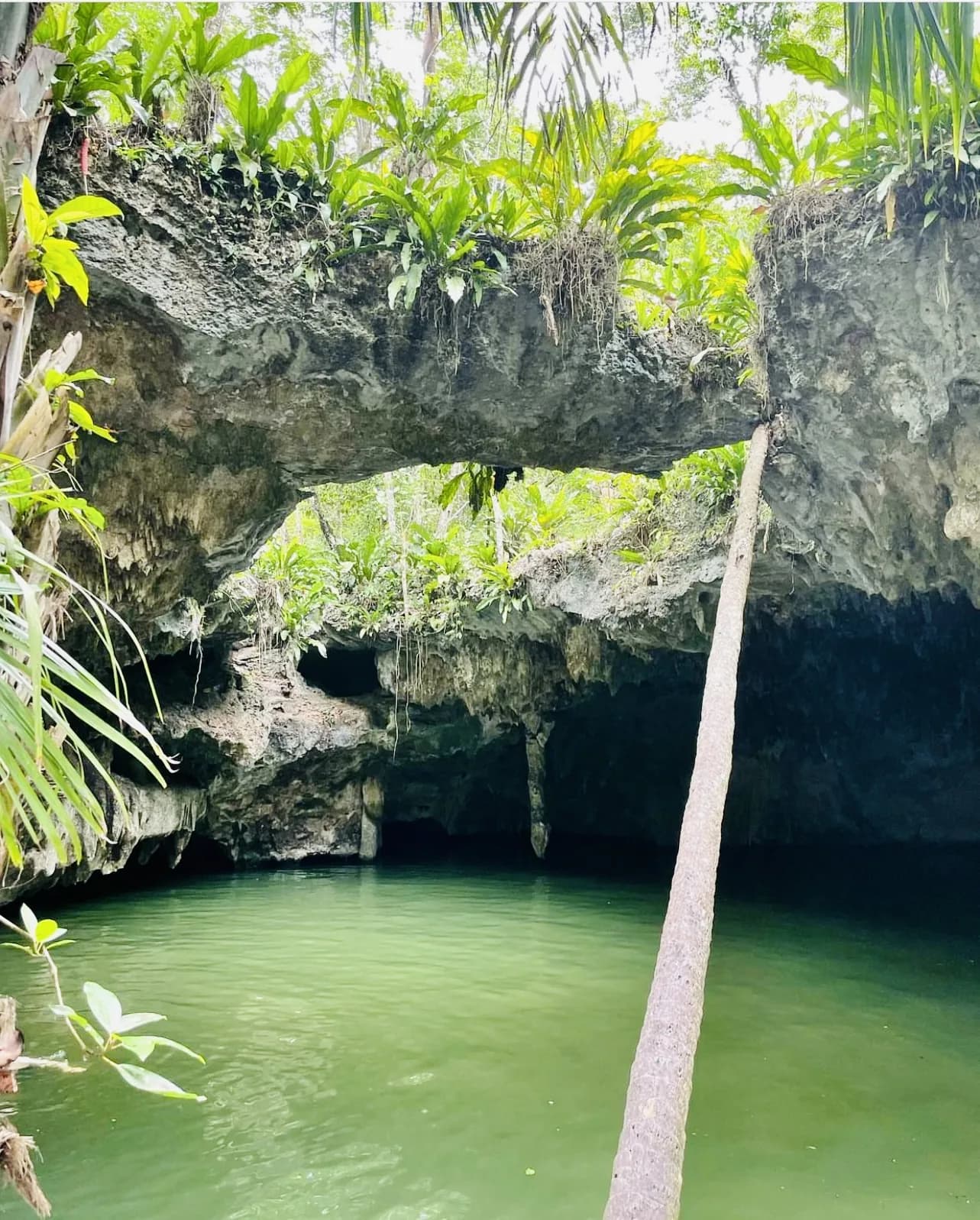 Private Jeep & ATV Jade Cavern Cenote Adventure - cave cenote entrance in Cozumel