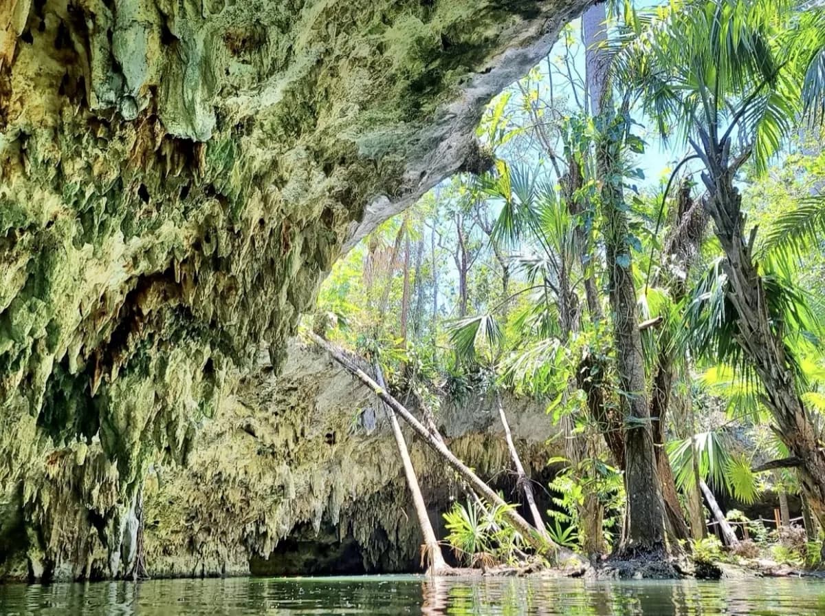 Private Jeep & ATV Jade Cavern Cenote Adventure - jade cavern water view in Cozumel