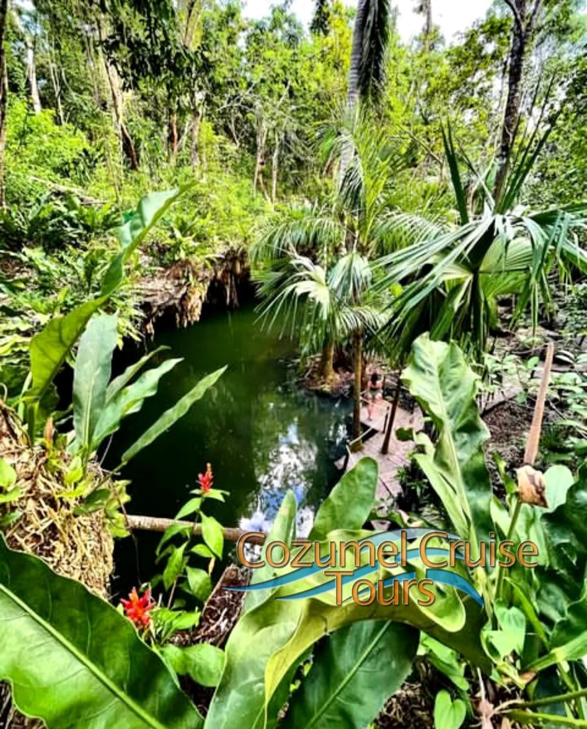 Private Jeep & ATV Jade Cavern Cenote Adventure - jungle path cenote in Cozumel