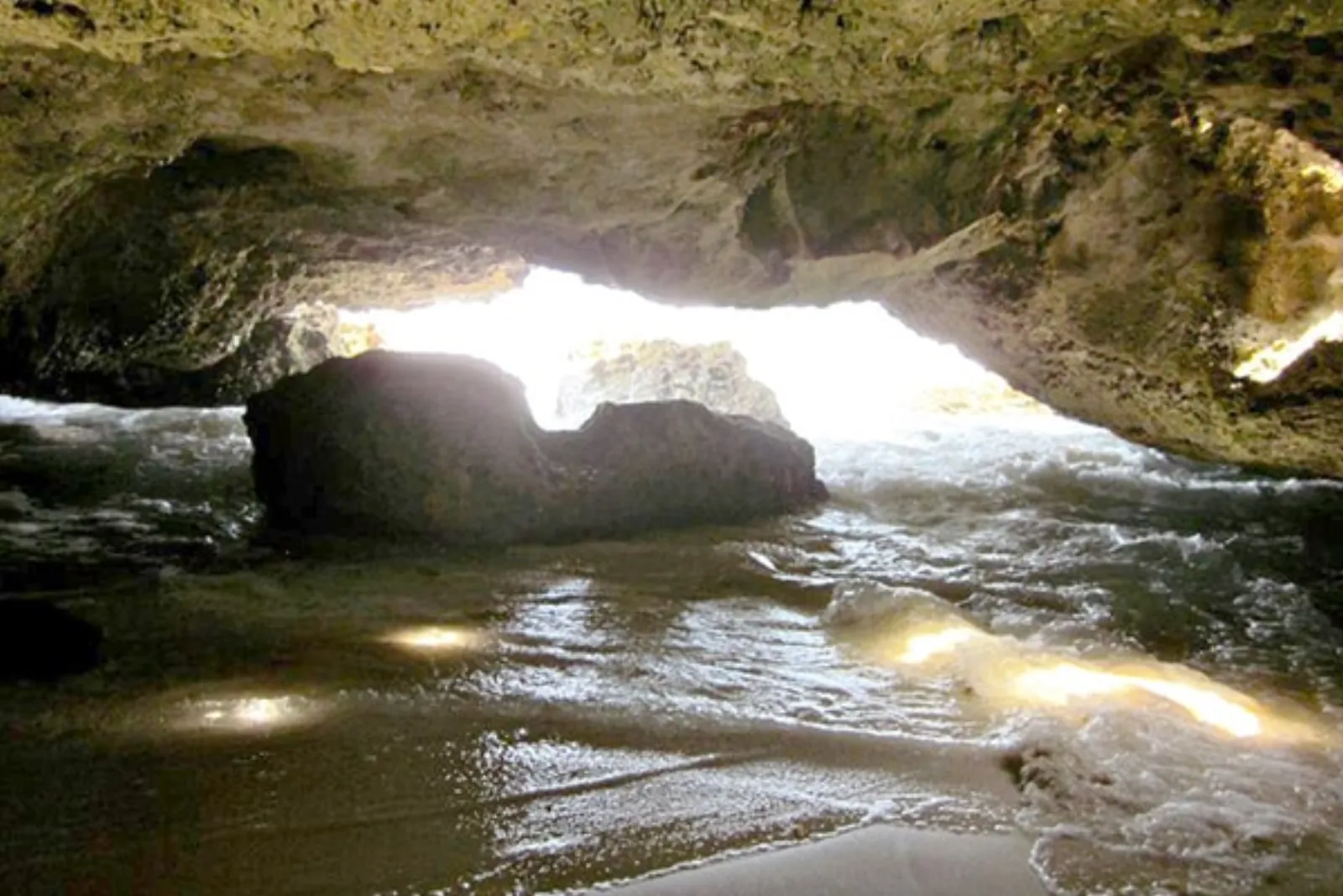The Other Side of Cozumel - Cozumel Travel Guide