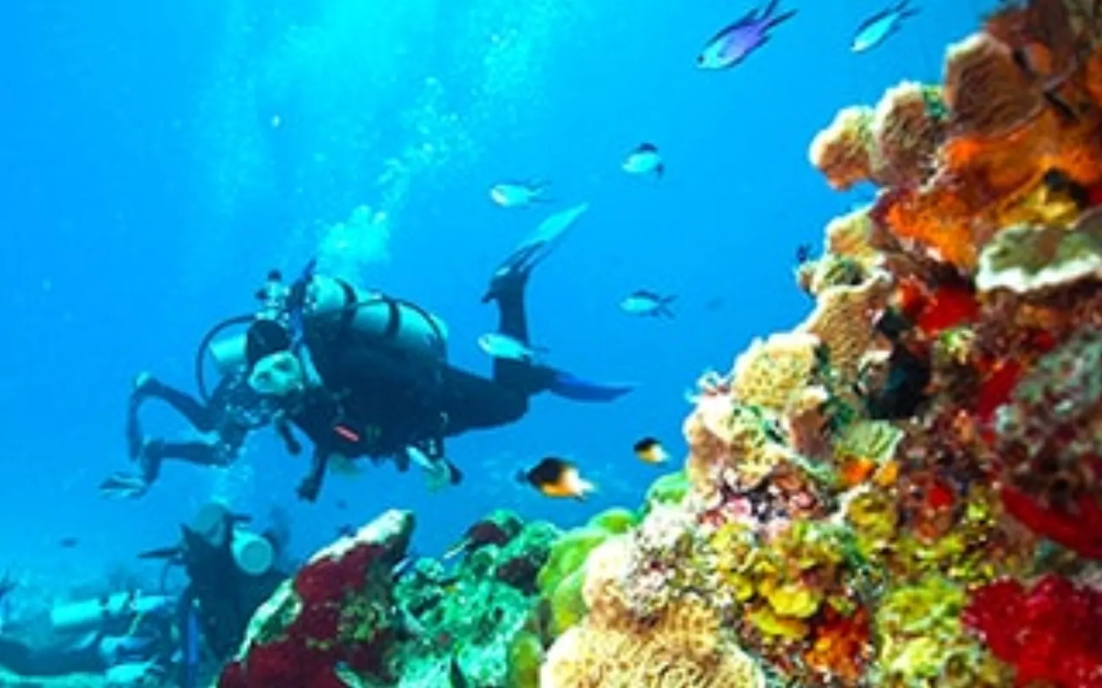 Hurricane Season - Cozumel Travel Guide