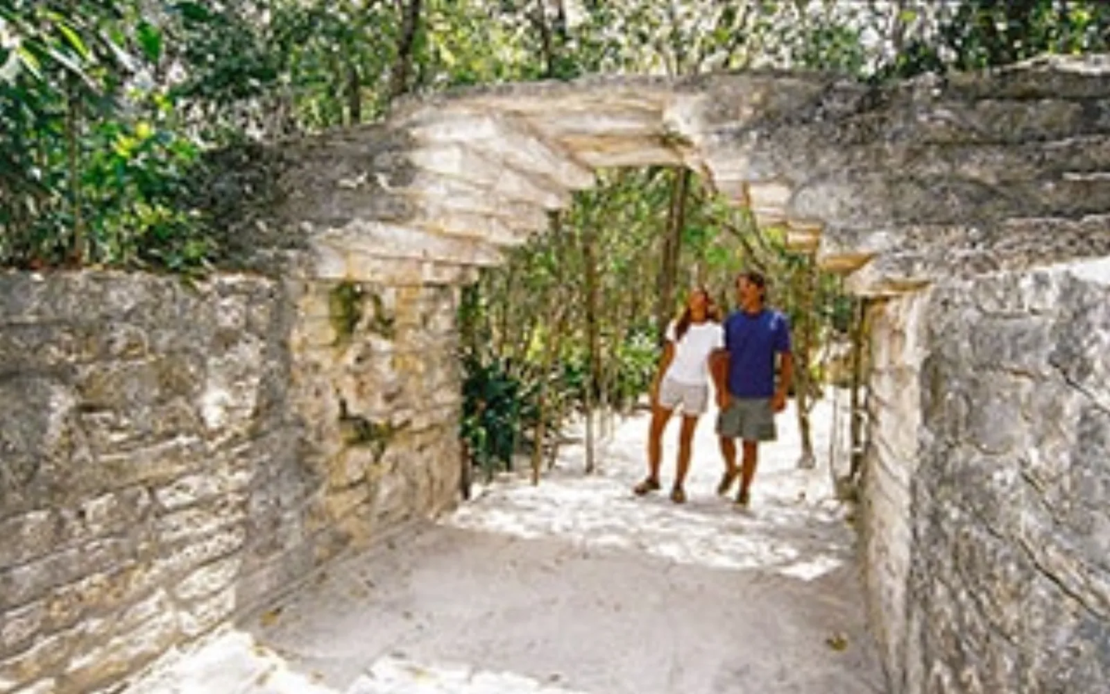 Fall Travel Guide - Cozumel Travel Guide