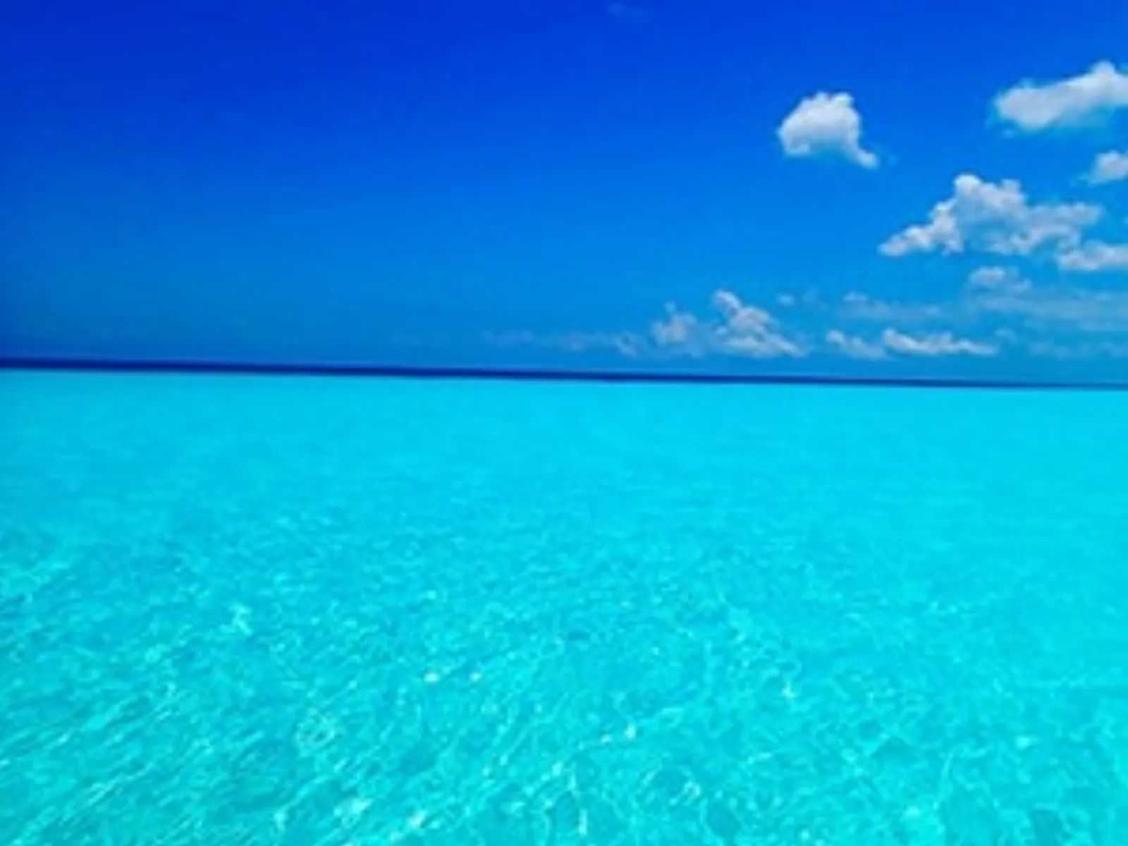 Cozumel Riff-Schnorchelerlebnis - Photo 11
