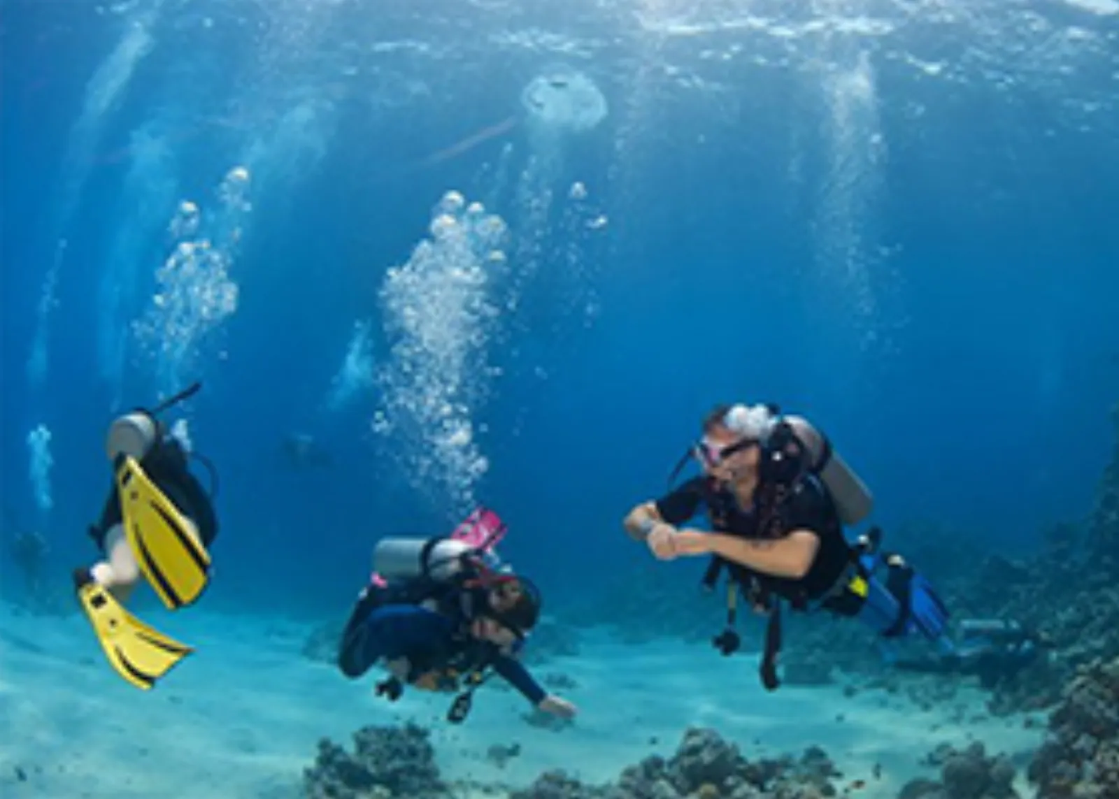 Private Beginner Boat Dive Cozumel