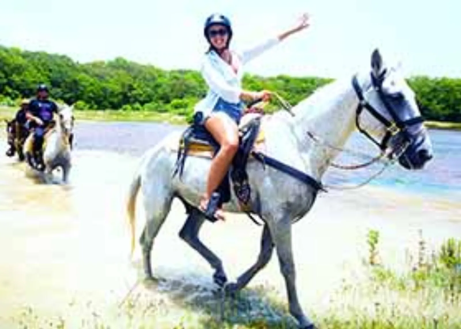 Cozumel Jungle Horseback Expedition